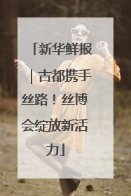 新华鲜报｜古都携手丝路！丝博会绽放新活力