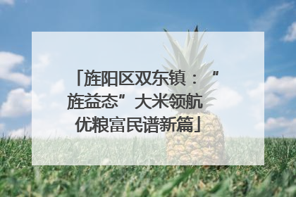 旌阳区双东镇：“旌益态”大米领航 优粮富民谱新篇