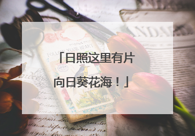 日照这里有片向日葵花海！
