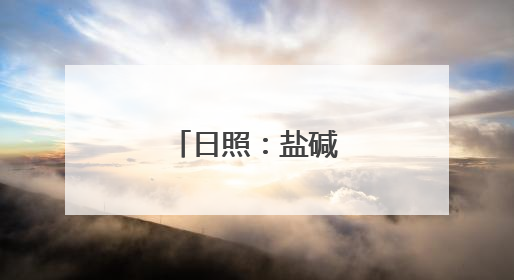 日照：盐碱地里生产忙