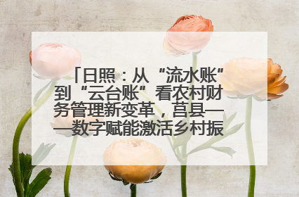 日照：从“流水账”到“云台账”看农村财务管理新变革，莒县——数字赋能激活乡村振兴“一池春水”