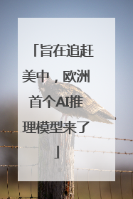 旨在追赶美中，欧洲首个AI推理模型来了