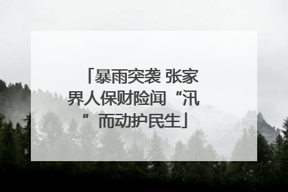 暴雨突袭 张家界人保财险闻“汛”而动护民生