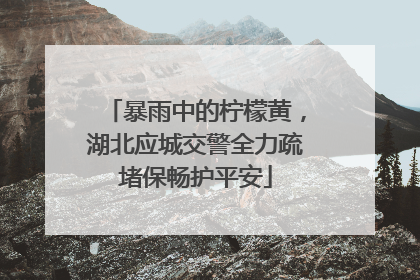 暴雨中的柠檬黄，湖北应城交警全力疏堵保畅护平安