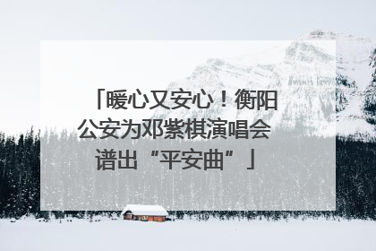暖心又安心！衡阳公安为邓紫棋演唱会谱出“平安曲”