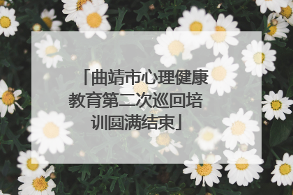 曲靖市心理健康教育第二次巡回培训圆满结束