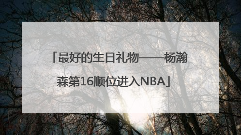 最好的生日礼物——杨瀚森第16顺位进入NBA