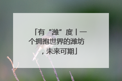有“潍”度丨一个拥抱世界的潍坊，未来可期