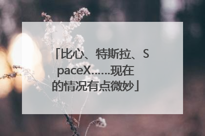 比心、特斯拉、SpaceX……现在的情况有点微妙