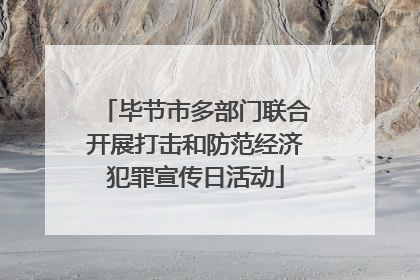 毕节市多部门联合开展打击和防范经济犯罪宣传日活动