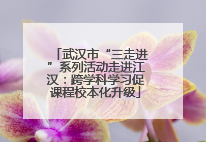 武汉市“三走进”系列活动走进江汉：跨学科学习促课程校本化升级