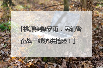 桃源突降暴雨，民辅警奋战一线抗洪抢险！