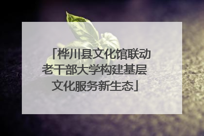 桦川县文化馆联动老干部大学构建基层文化服务新生态
