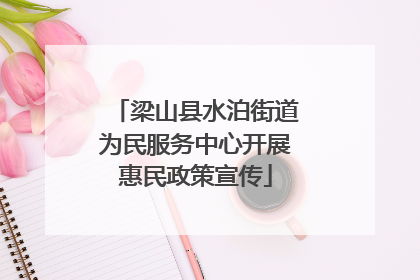 梁山县水泊街道为民服务中心开展惠民政策宣传