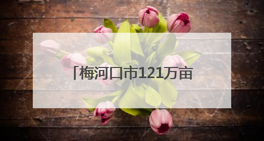 梅河口市121万亩旱田基本播种完成
