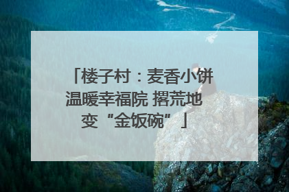 楼子村：麦香小饼温暖幸福院 撂荒地变“金饭碗”