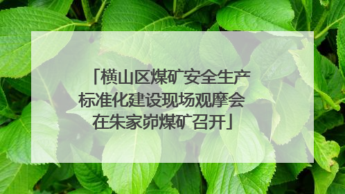 横山区煤矿安全生产标准化建设现场观摩会在朱家峁煤矿召开