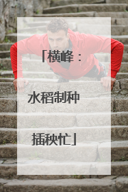 横峰：水稻制种插秧忙