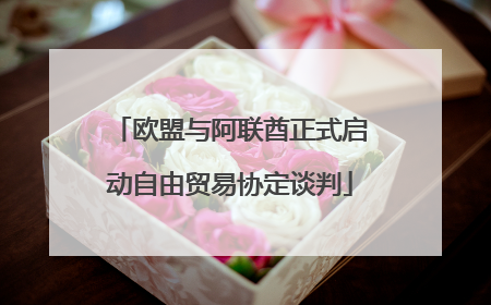 欧盟与阿联酋正式启动自由贸易协定谈判