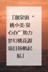 潮泉镇“桃小美·泉心办”助力梦幻桃花源项目扬帆起航