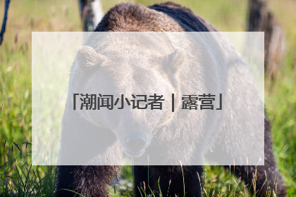 潮闻小记者｜露营