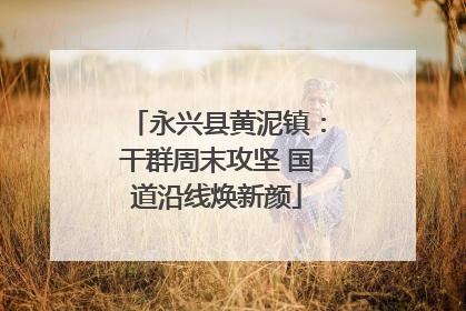 永兴县黄泥镇：干群周末攻坚 国道沿线焕新颜