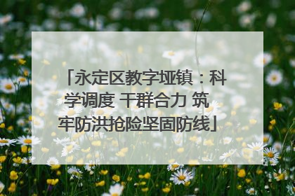 永定区教字垭镇：科学调度 干群合力 筑牢防洪抢险坚固防线