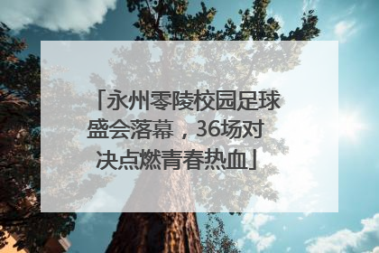 永州零陵校园足球盛会落幕，36场对决点燃青春热血