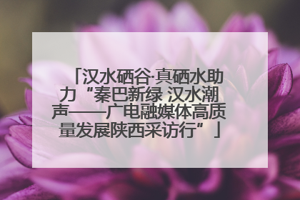 汉水硒谷·真硒水助力“秦巴新绿 汉水潮声——广电融媒体高质量发展陕西采访行”