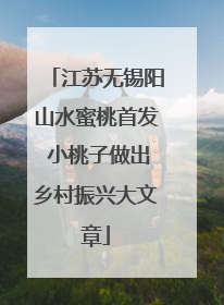 江苏无锡阳山水蜜桃首发 小桃子做出乡村振兴大文章