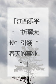 江西乐平：“折翼天使”引领“春天的事业”