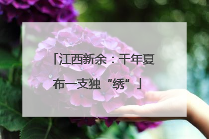 江西新余：千年夏布一支独“绣”