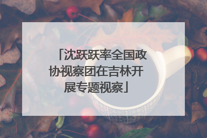 沈跃跃率全国政协视察团在吉林开展专题视察