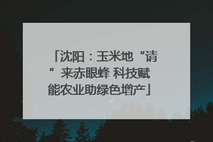 沈阳：玉米地“请”来赤眼蜂 科技赋能农业助绿色增产
