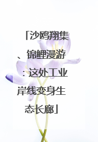 沙鸥翔集、锦鲤漫游：这处工业岸线变身生态长廊