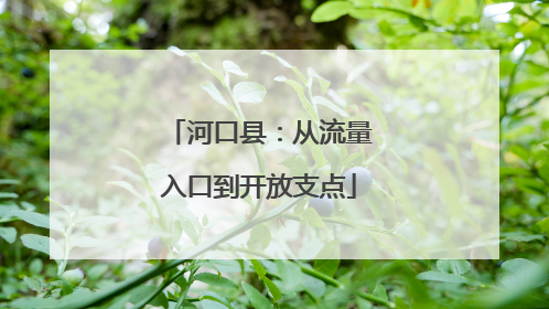 河口县：从流量入口到开放支点
