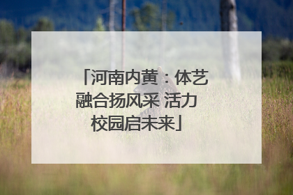 河南内黄：体艺融合扬风采 活力校园启未来