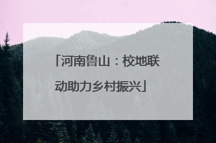 河南鲁山：校地联动助力乡村振兴