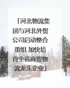 河北物流集团与河北外贸公司启动整合重组 加快培育全省商贸物流龙头企业