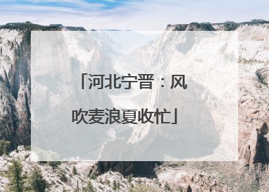 河北宁晋：风吹麦浪夏收忙