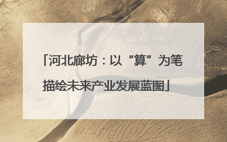 河北廊坊：以“算”为笔描绘未来产业发展蓝图