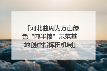 河北曲周为万亩绿色“吨半粮”示范基地创建指挥田机制