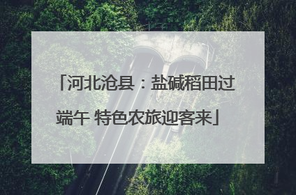 河北沧县：盐碱稻田过端午 特色农旅迎客来