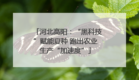 河北高阳：“黑科技”赋能夏种 跑出农业生产“加速度”