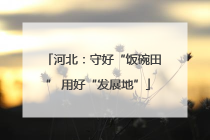 河北：守好“饭碗田” 用好“发展地”