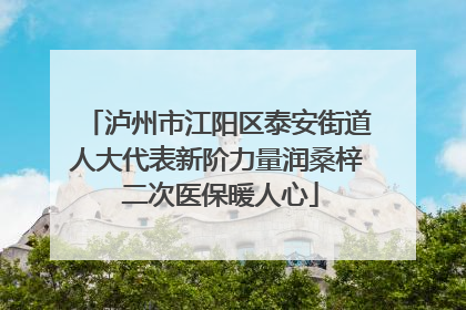 泸州市江阳区泰安街道人大代表新阶力量润桑梓 二次医保暖人心