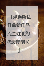 泽连斯基任命新任乌克兰驻北约代表团团长