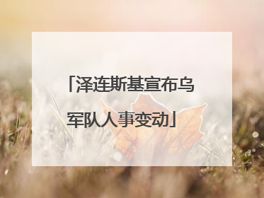 泽连斯基宣布乌军队人事变动