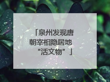 泉州发现唐朝宰相隐居地“活文物”