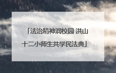 法治精神润校园 洪山十二小师生共学民法典